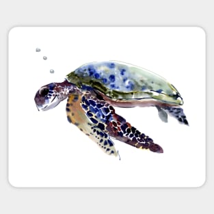 Sea Turtle Swimming Sticker